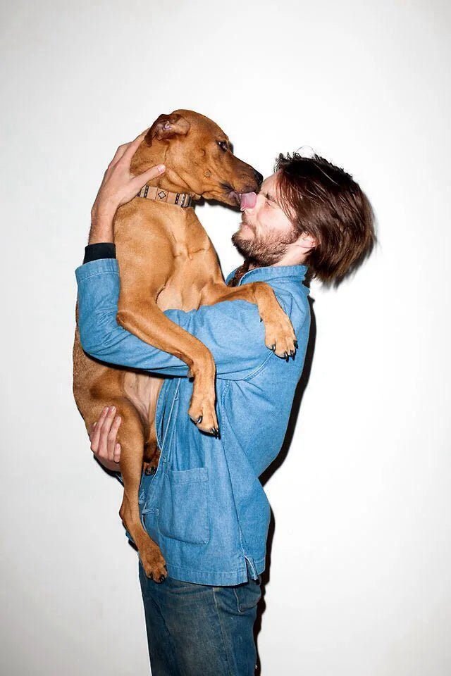 Een hond likt zijn baasje in het gezicht