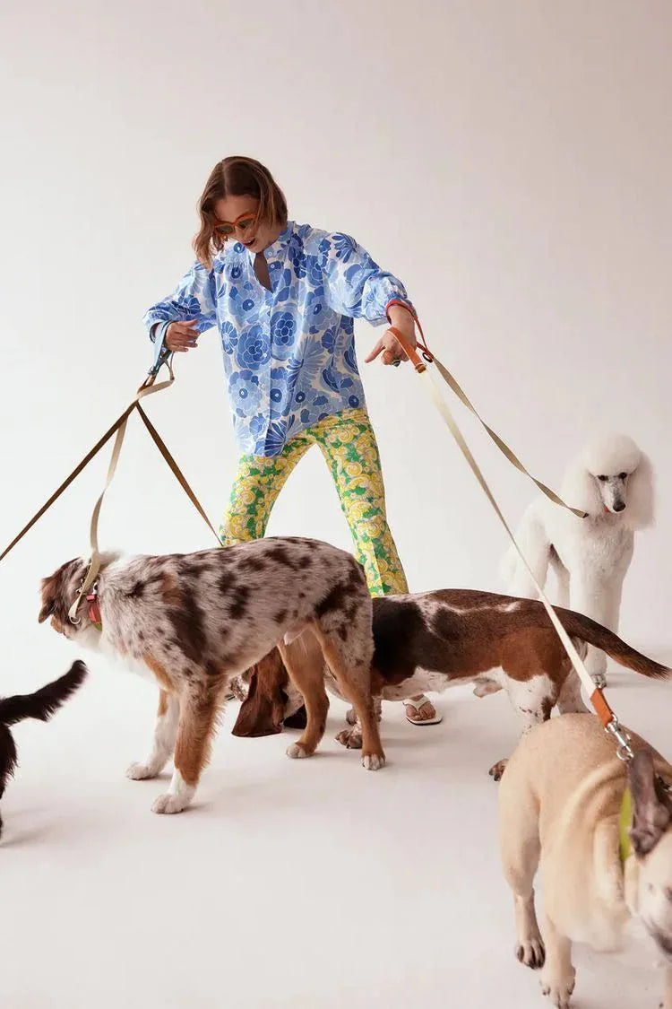 Een vrouw en haar honden tijdens een wandeling